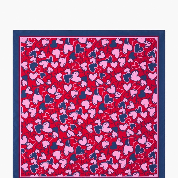 Talbots Vibrant Pink and‎ Navy Scarf